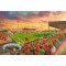 Seaview Stadium Fine Art Print - Crusaders FC